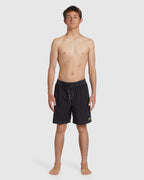 Mens Riot Layback Boardshorts