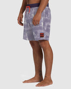 Mens Riot Layback Boardshorts