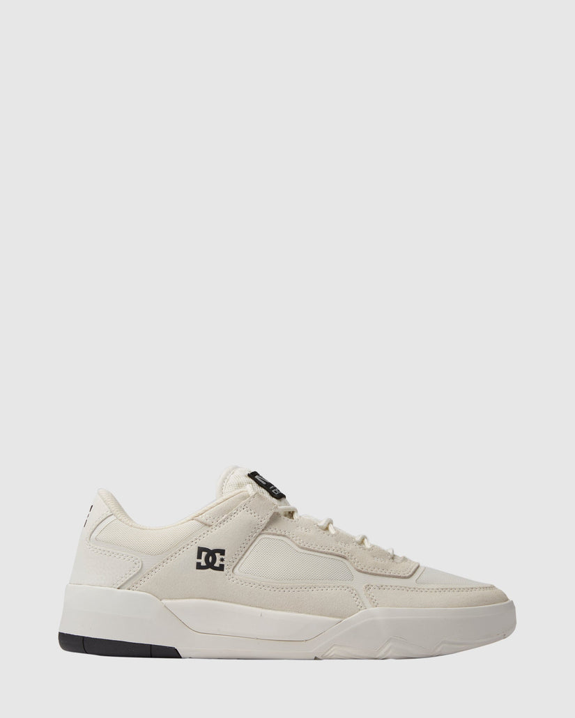 Mens Dc Metric Shoes