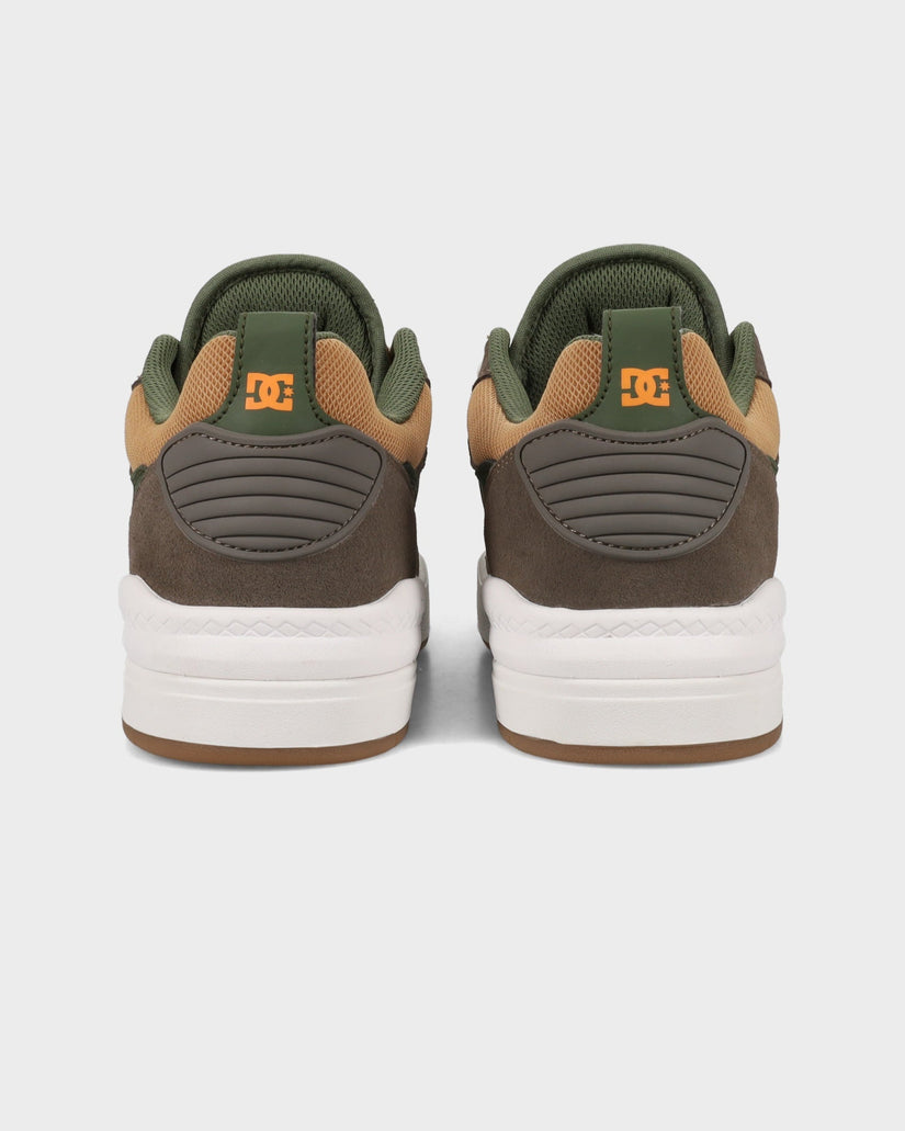 Mens Dc Ascend Sneakers
