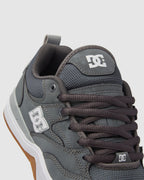 Mens DC Ascend Skate Shoes