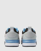 Mens DC Ascend Skate Shoes