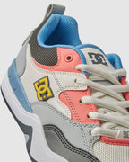 Mens DC Ascend Skate Shoes