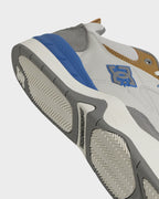 Mens DC Ascend Skate Shoes