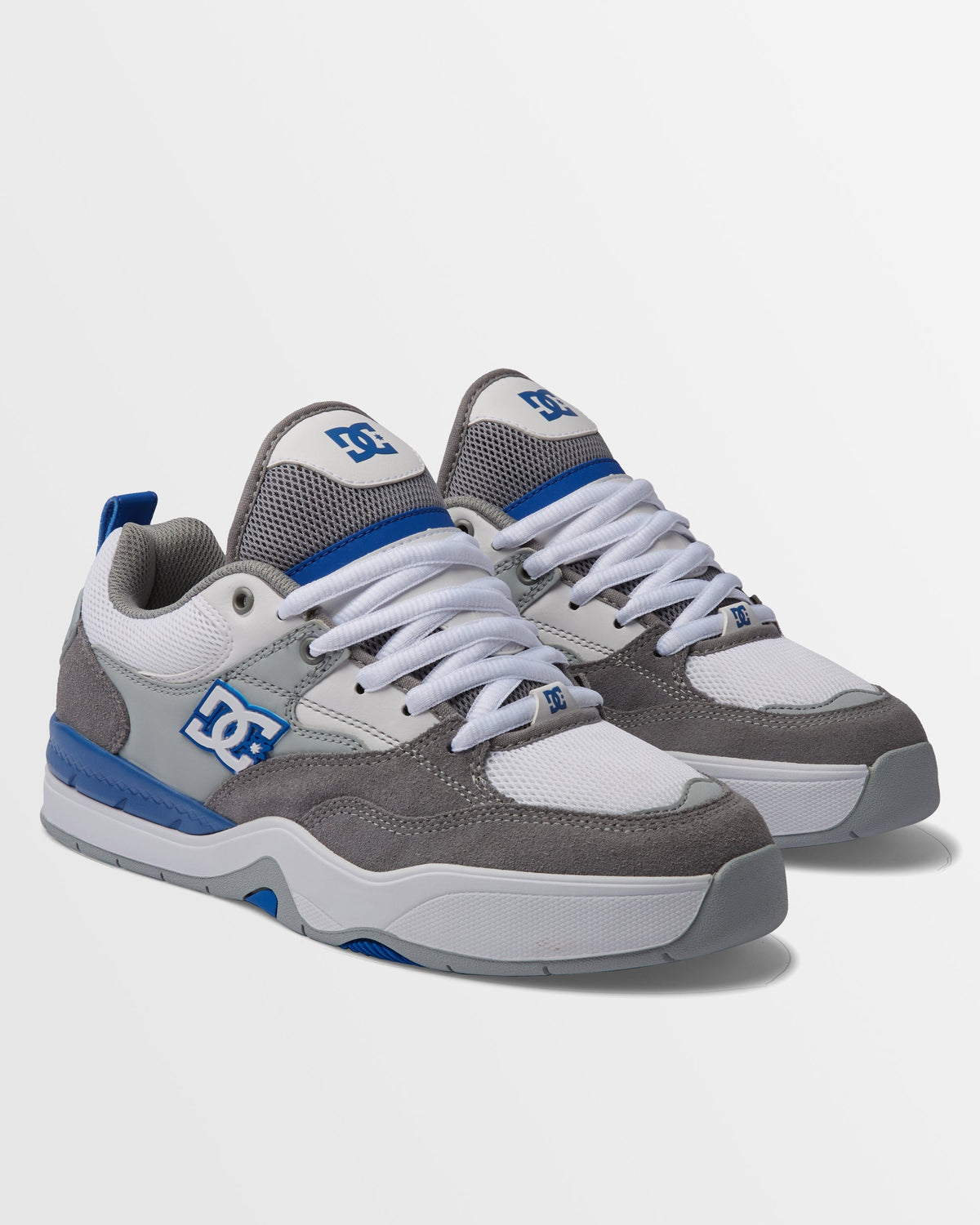 Mens DC Ascend Skate Shoes
