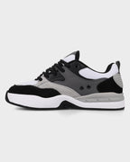 Mens DC Ascend Skate Shoes