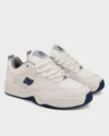 Mens DC Ascend Skate Shoes