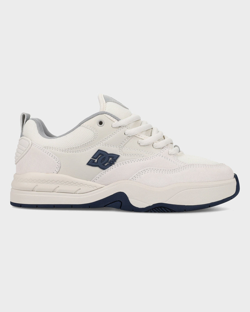 Mens DC Ascend Skate Shoes