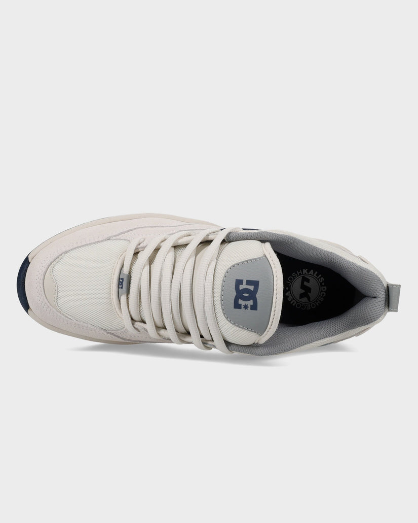 Mens DC Ascend Skate Shoes