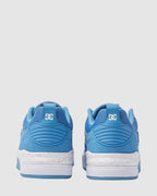 Mens DC Ascend S Skate Shoes
