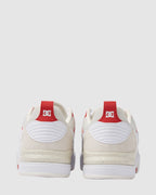 Mens DC Ascend S Skate Shoes