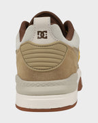 Mens DC Ascend LE Skate Shoes