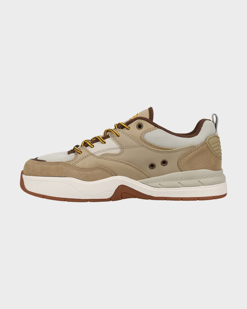 Mens DC Ascend LE Skate Shoes