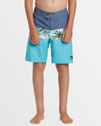 Boys 8-16 Everyday Panel 17" Boardshorts