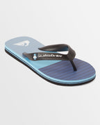 Boys 8-16 Molokai Art Beach Thongs