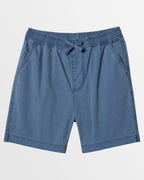 Boys 8-16 Taxer Walkshorts