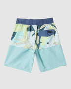 Boys 2-7 Everyday Division 13" Boardshorts
