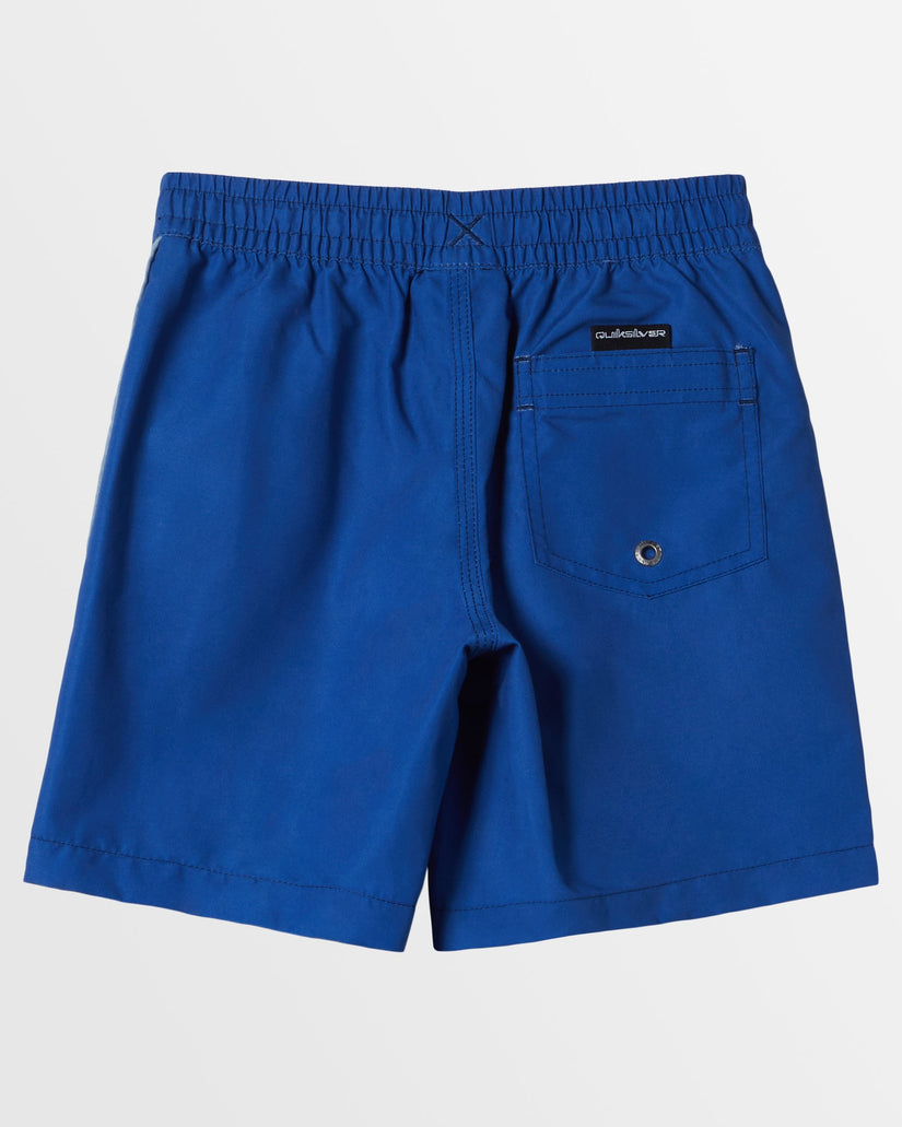 Boys 2-7 Everyday Vert Volley Swim Shorts