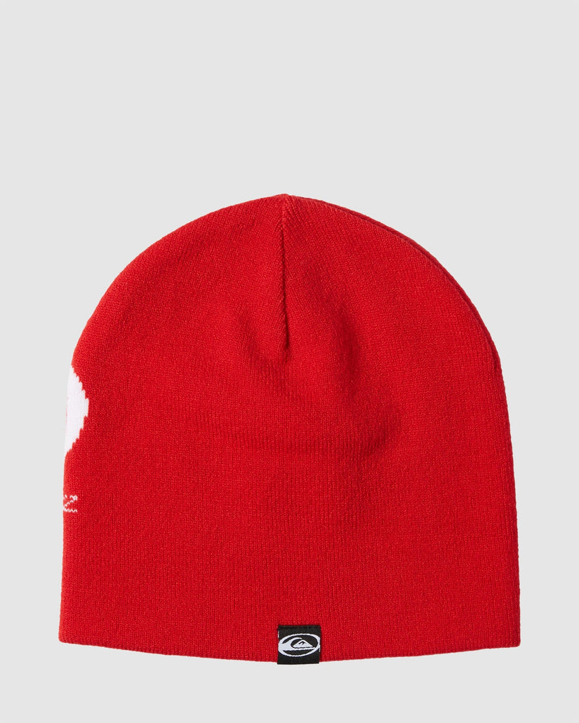 Mens Saturn Cuff Beanie