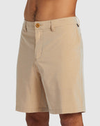 Mens Union Heather Amphibian 20" Boardshorts