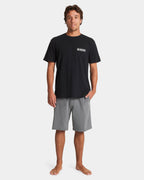 Mens Union Heather Amphibian 20" Boardshorts