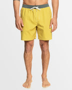 Mens Original Straight 17" Swim Shorts