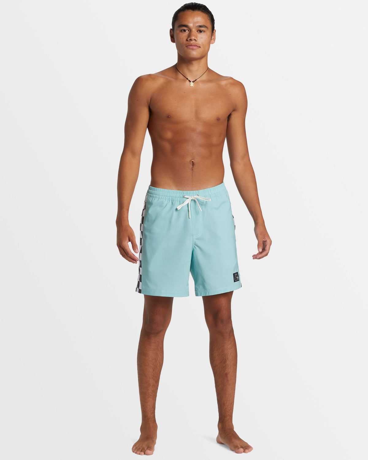 Mens Original Arch Volley 17" Swim Shorts