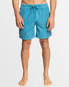 Mens Everyday Surfwash Volley 17