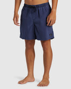 Mens Everyday Surfwash Volley 17" Swim Shorts