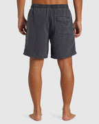 Mens Everyday Surfwash Volley 17" Swim Shorts