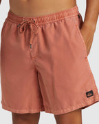 Mens Everyday Surfwash Volley 17" Swim Shorts