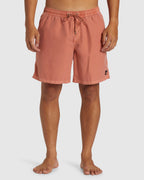 Mens Everyday Surfwash Volley 17" Swim Shorts