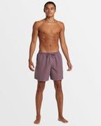Mens Everyday Surfwash Volley 17" Swim Shorts