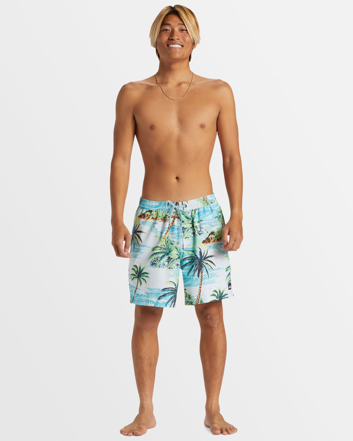 Mens Everyday Mix 17" Swim Shorts
