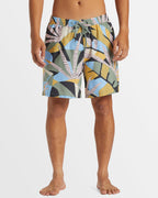 Mens Everyday Mix 17" Swim Shorts