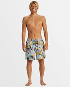 Mens Everyday Mix 17" Swim Shorts