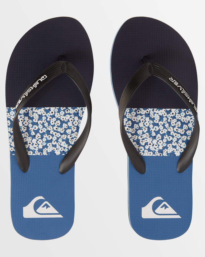 Mens Molokai Art Beach Thongs