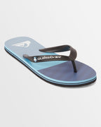 Mens Molokai Stripe Beach Thongs