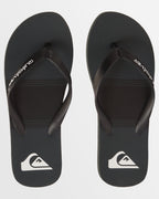 Mens Molokai Stripe Beach Thongs