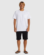 Mens Everyday Union 20" Walkshorts