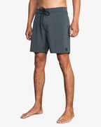 Mens VA Pigment 18" Boardshorts