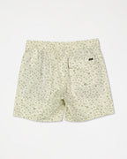 avybs00265_rvca_nat_bck1_flat