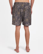 avybs00293_rvca_rvb_bck1