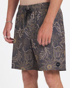 avybs00293_rvca_rvb_sd6