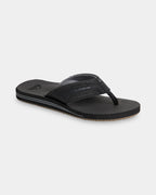 CARVER WAVETECH (B)