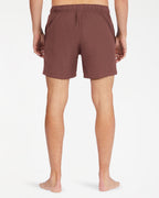 Mens All Day Layback 16" Boardshorts