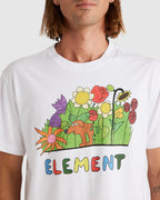elyzt00451_element_wbb0_dtl1