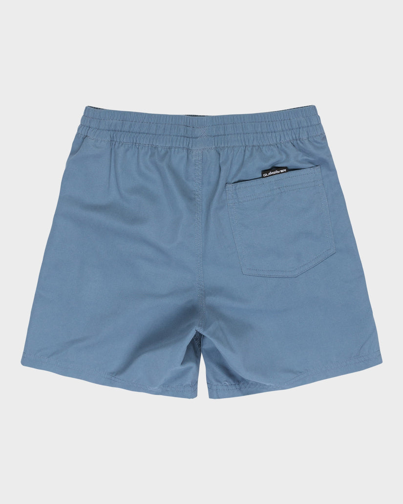 Boys 8-16 Everyday Volley 15" Swim Shorts