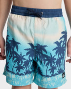 Boys 8-16 Everyday Printed 14" Swim Shorts