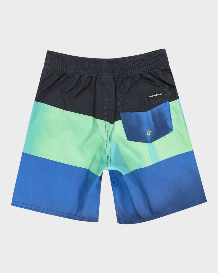Boys 2-7 Everyday Panel Boy 13" Boardshorts